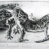 Etching. Two Leopard Geckos Sm