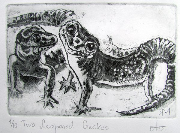 Etching. Two Leopard Geckos Sm