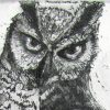 Greayt Horned Owl Det1