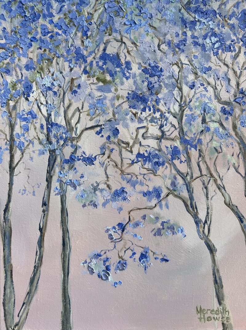 Illumination of Jacaranda Trees