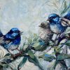 Blue Wren Meeting 2 2