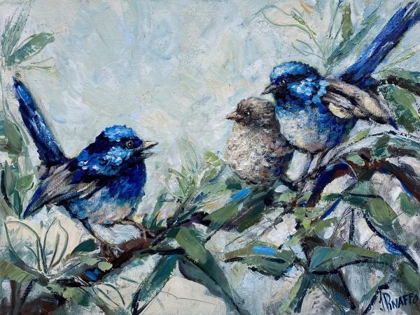 Blue Wren Meeting 2 2