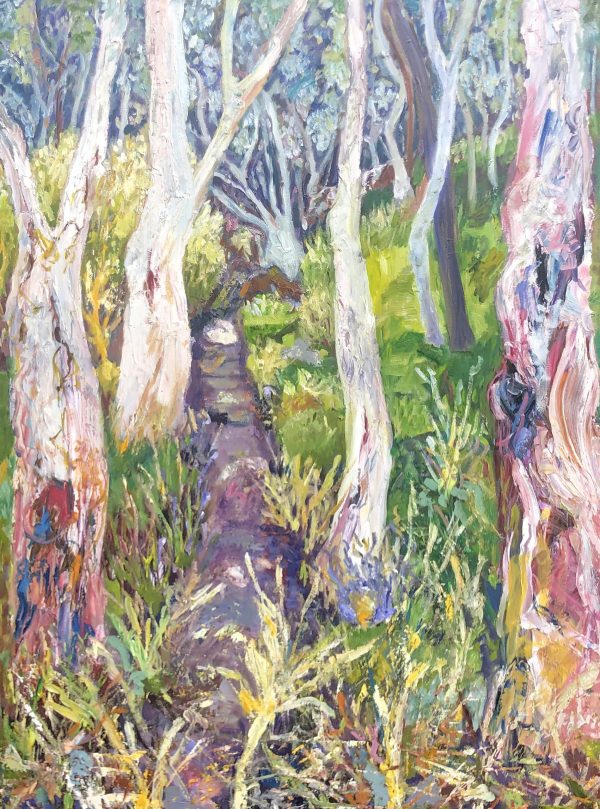 Gum Trees And Wattle By The Creek (2)