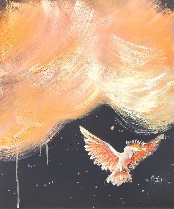 Sydney Artist Leni Kae Major Mitchell Spirit In The Clouds Bird Art On Paper