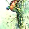 Sydney Artist Leni Kae Rainbow Lorrikeet Spirit Watercolour On Paper Art