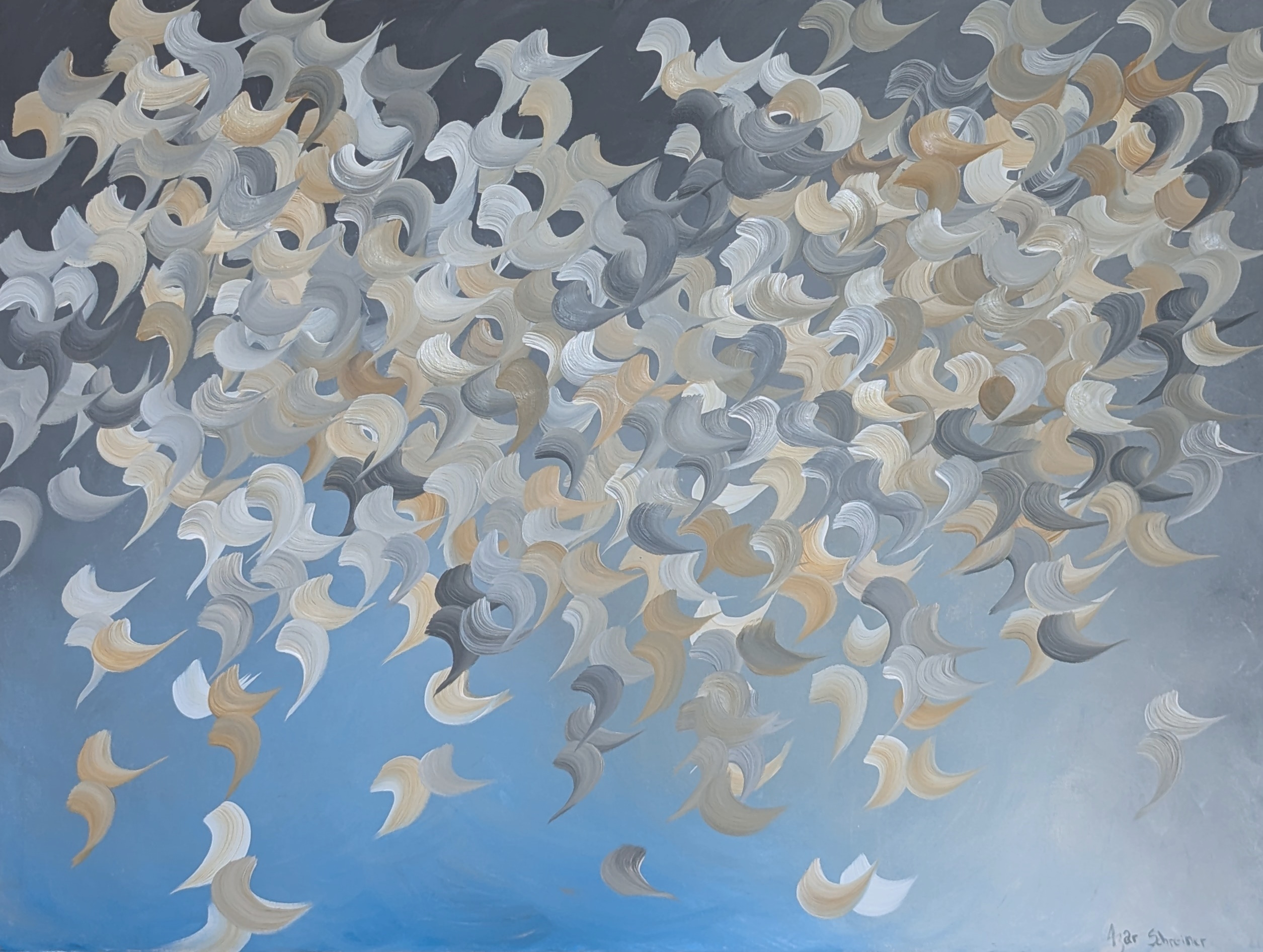 Pxl 20250113 061410551.mp