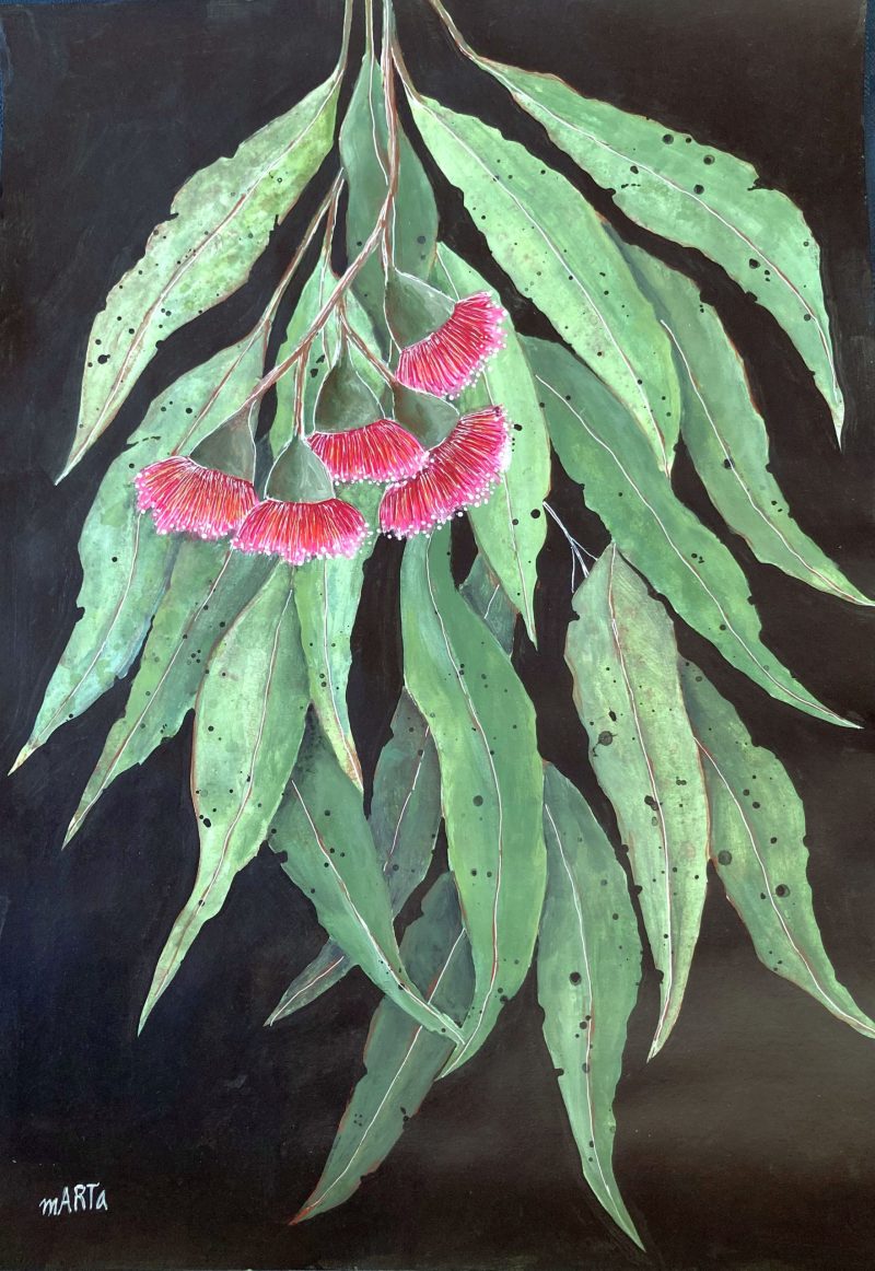 I Love Pink Gum Flowers