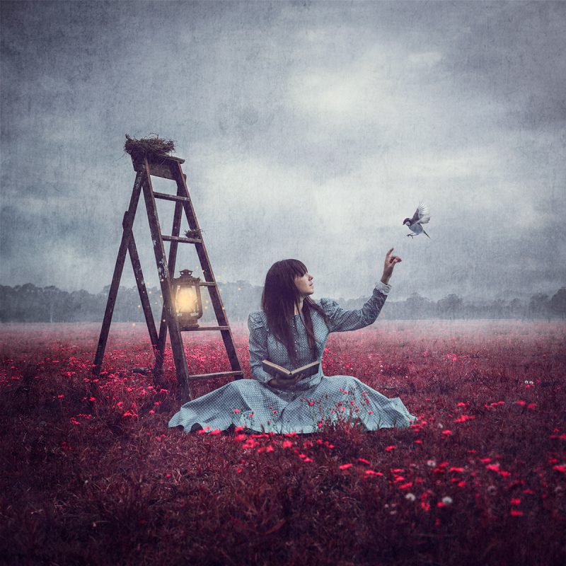 81. Red Meadow 800x800 (2)