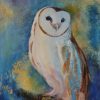 Barn Owl, Clare Riddington Jones