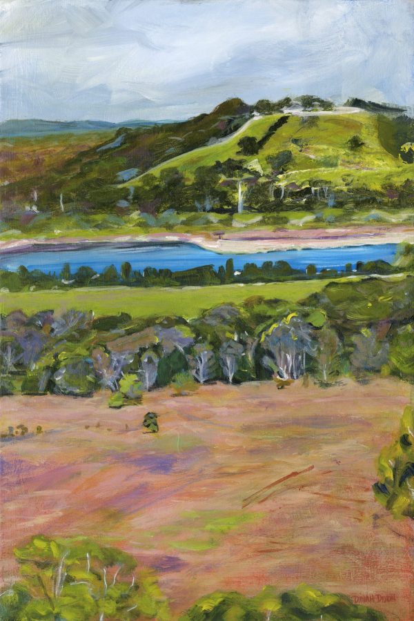 Dinah Dixon It's The Knockrow Life