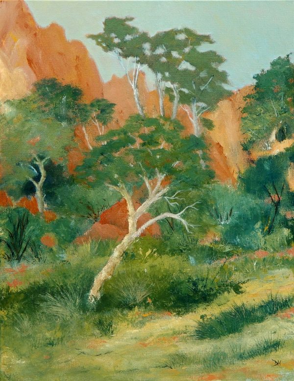 Doodie Herman Bushwalk Yeprenye Nature Park Landscape