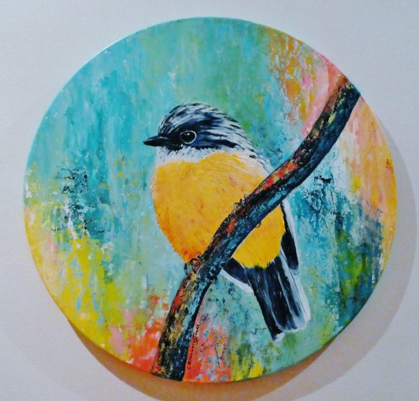 Eastern Yellow Robin, Clare Riddington Jones