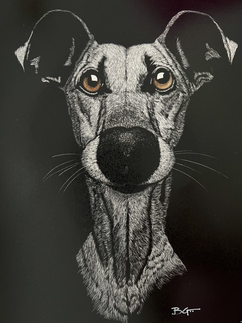 Img 3626244 800x1067 (1)