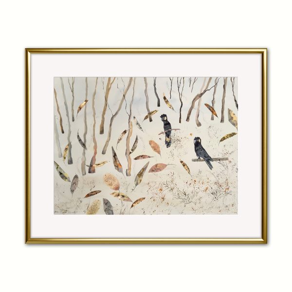 Lyn Graham Cockatoo 1 Watercolour On Cotton Paper 76.5 X 55.5 In Situ Gold Frame