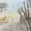 Lyn Graham Dingo 1 Watercolour On Cotton Paper 42 X 29.5