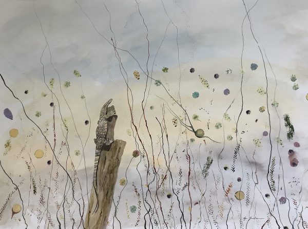 Lyn Graham Goanna 1 Watercolour On Cotton Paper 76.5 X 55.5