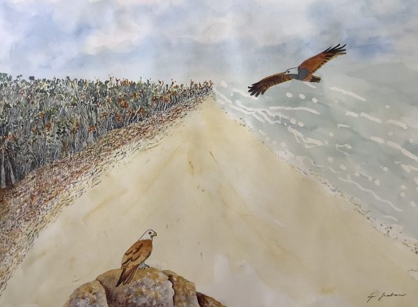 Lyn Graham Kite 1 Watercolour On Cotton Paper 59.5 X 41.5