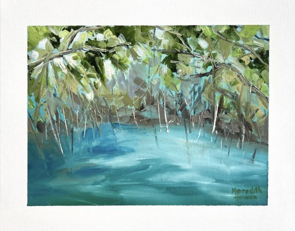 Upper Daintree 9 By Meredith Howse