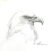 Sydney Artist Leni Kae Eagle Spirit Profile Pencil Sketch