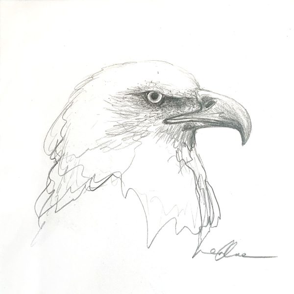 Sydney Artist Leni Kae Eagle Spirit Profile Pencil Sketch