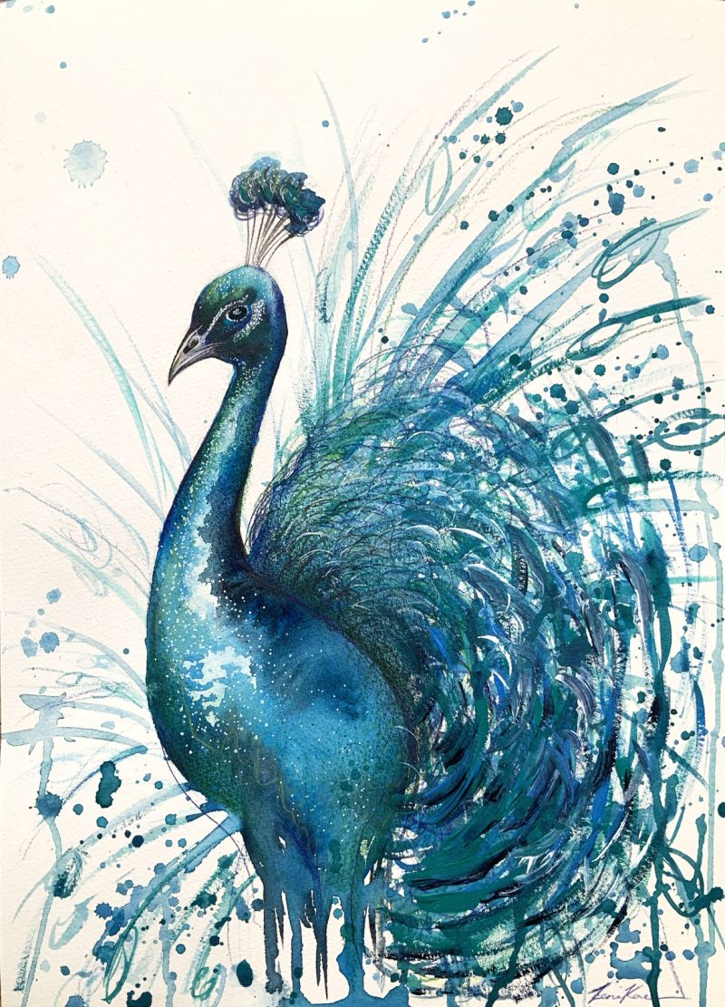 Peacock Awakening