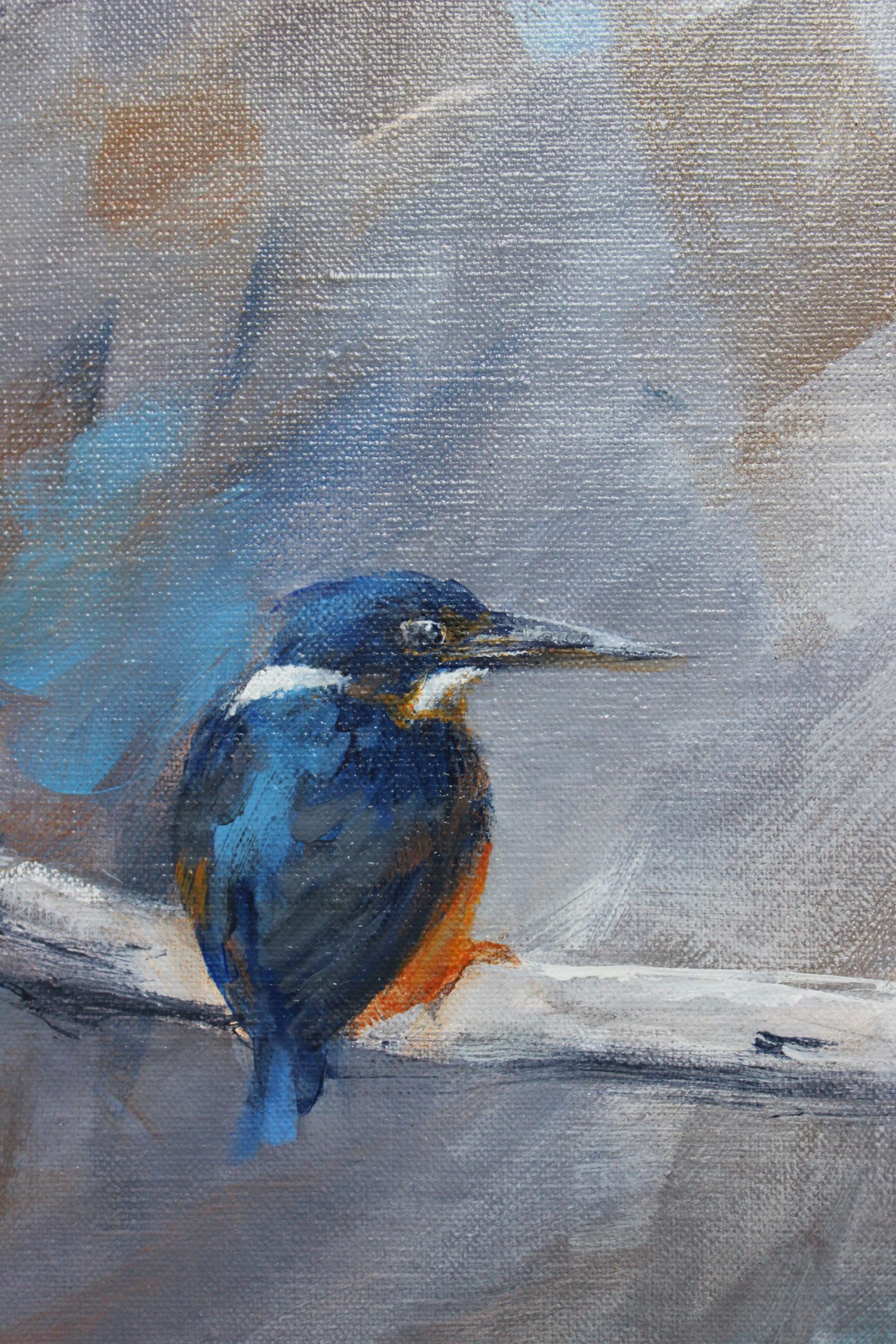 Kingfisherwatchingdetail2