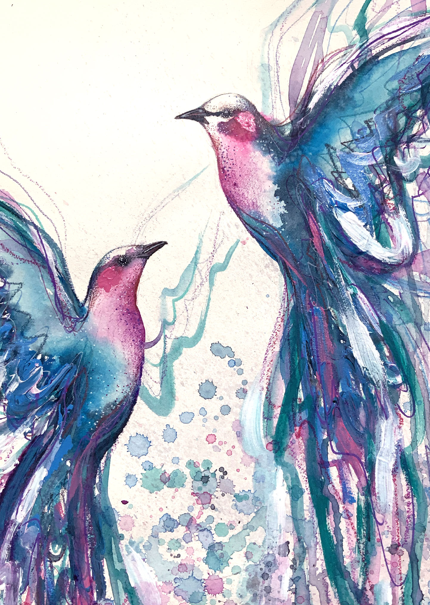 2 Lilac Breasted Roller Closeup