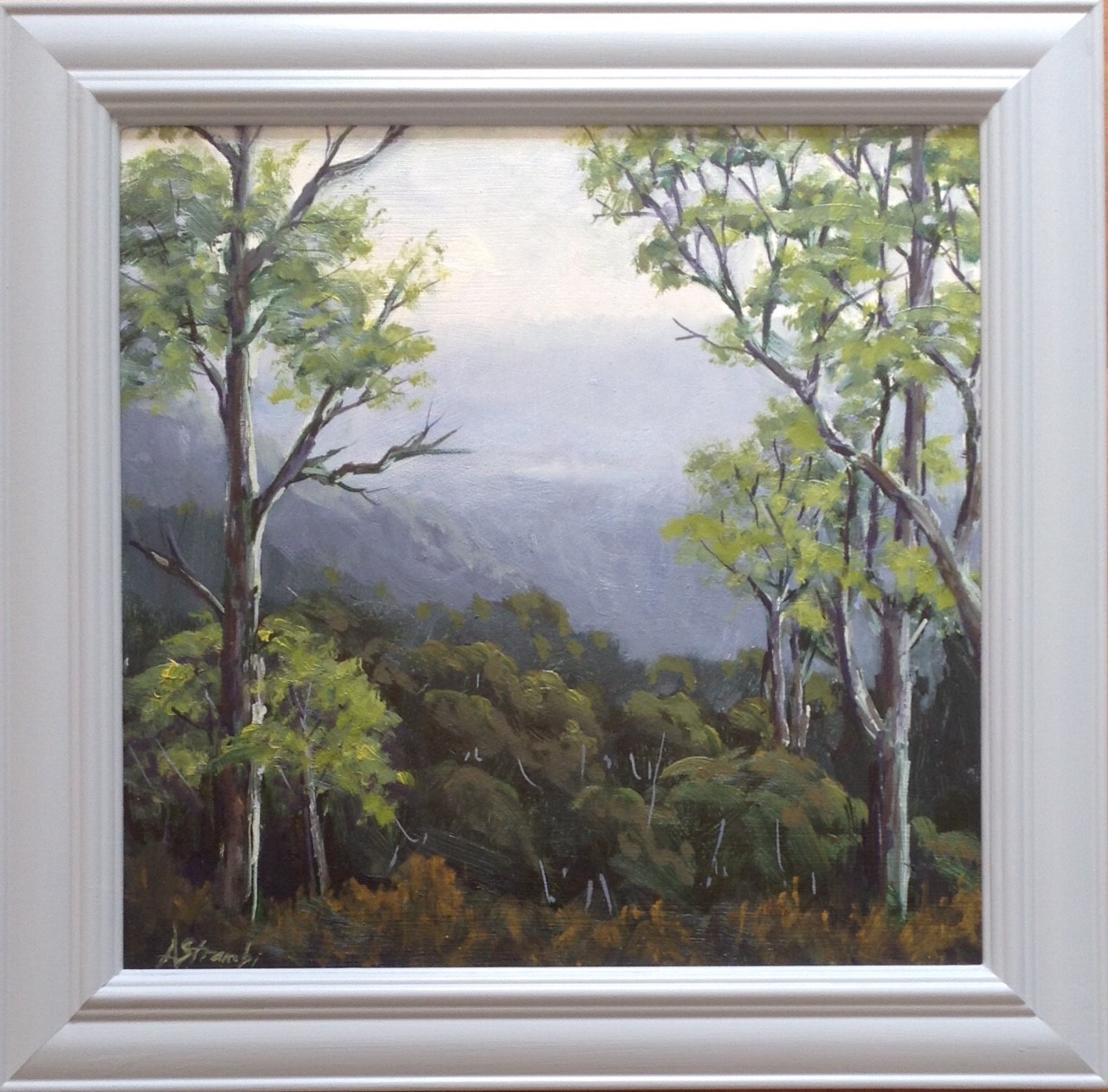 Mt Tamborine View Framed