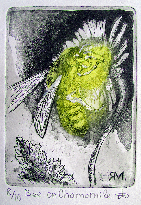 Bee on Chamomile  Ltd Ed Print
