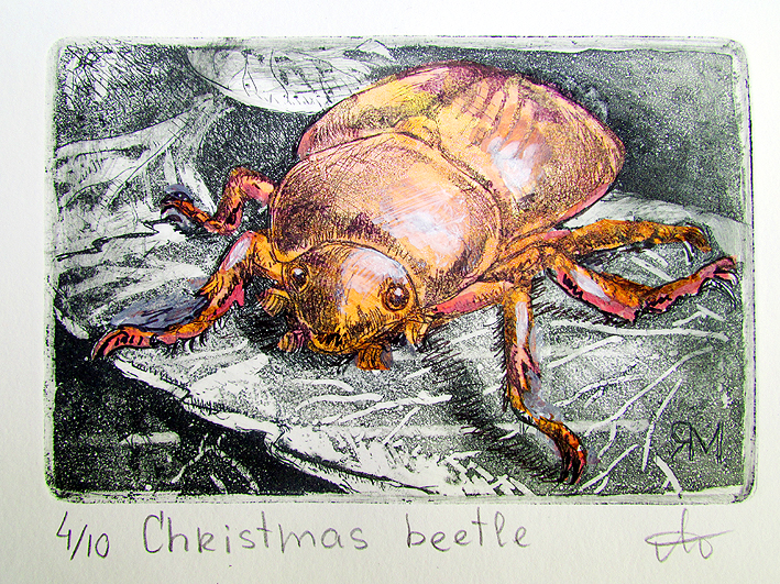 Christmas beetle  Ltd Ed Print
