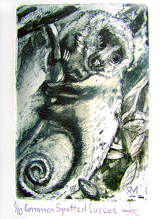 Common Spotted Cuscus  Ltd Ed Print