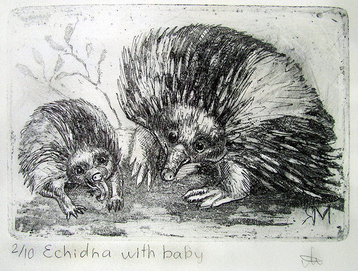 Echidna with baby   Ltd Ed Print