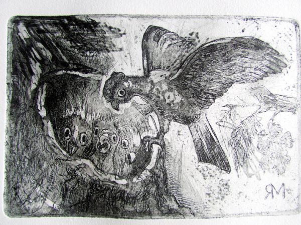 Etching. Galah Parrot With Chicks.black Sm