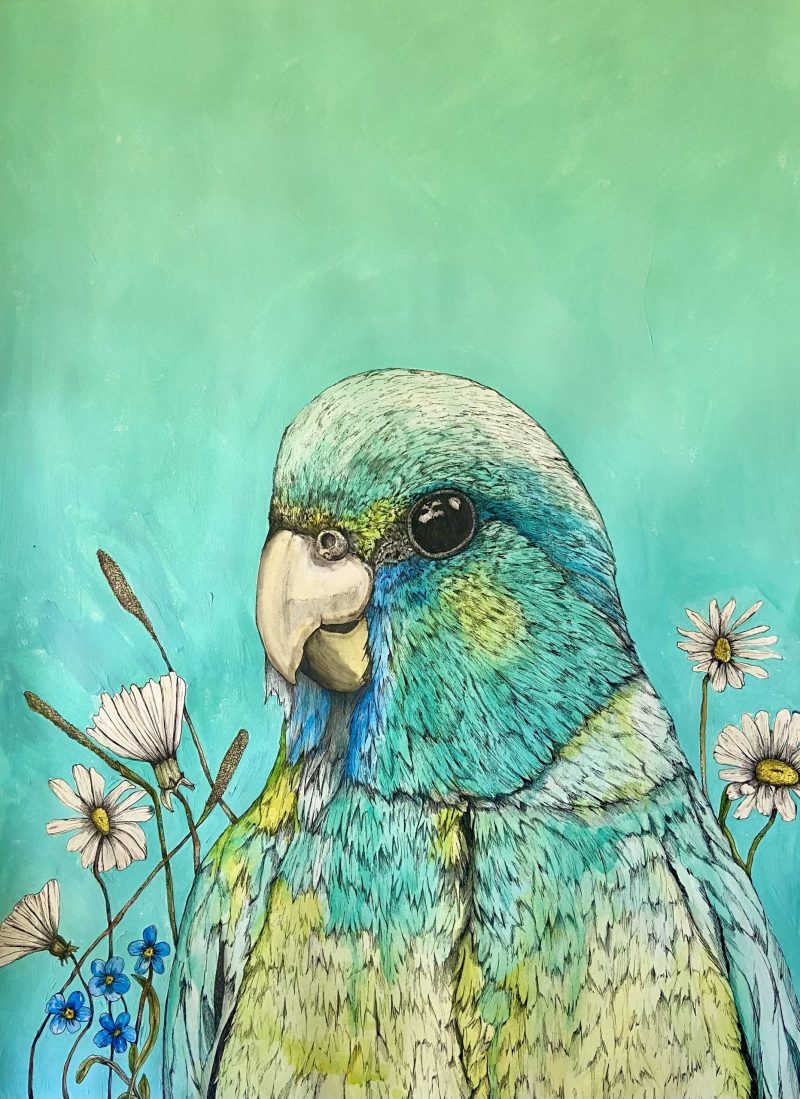 Springtime Parrot