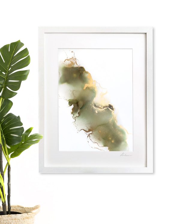 Lasseters Reef Insitu Copy