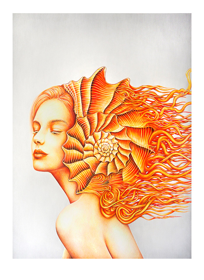 The Lightening Whelk Charm Dreaming Fine Art Print