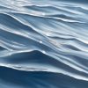 Close Up Ripples Our Connection With Water Alanah Jarvis Ocean Art