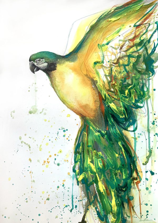 Sydney Artist Leni Kae Golden Macaw Spirit In The Sun Art Painting 3