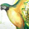 Sydney Artist Leni Kae Golden Macaw Spirit In The Sun Detail1