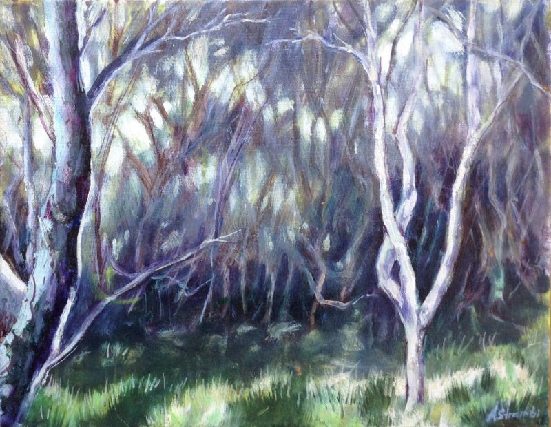 Coastal Paperbarks, Minnie Water