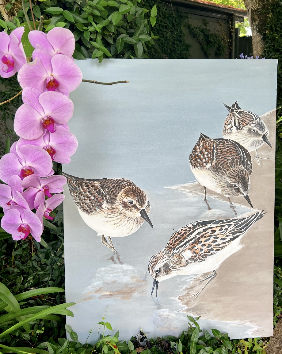 Fd32e831 F7a6 4868 Bef6 A765dbe444b5