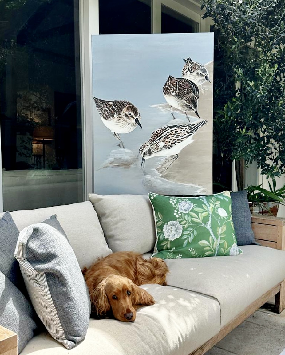 7c720781 Ecd5 48c8 Bdb6 224631ee2078