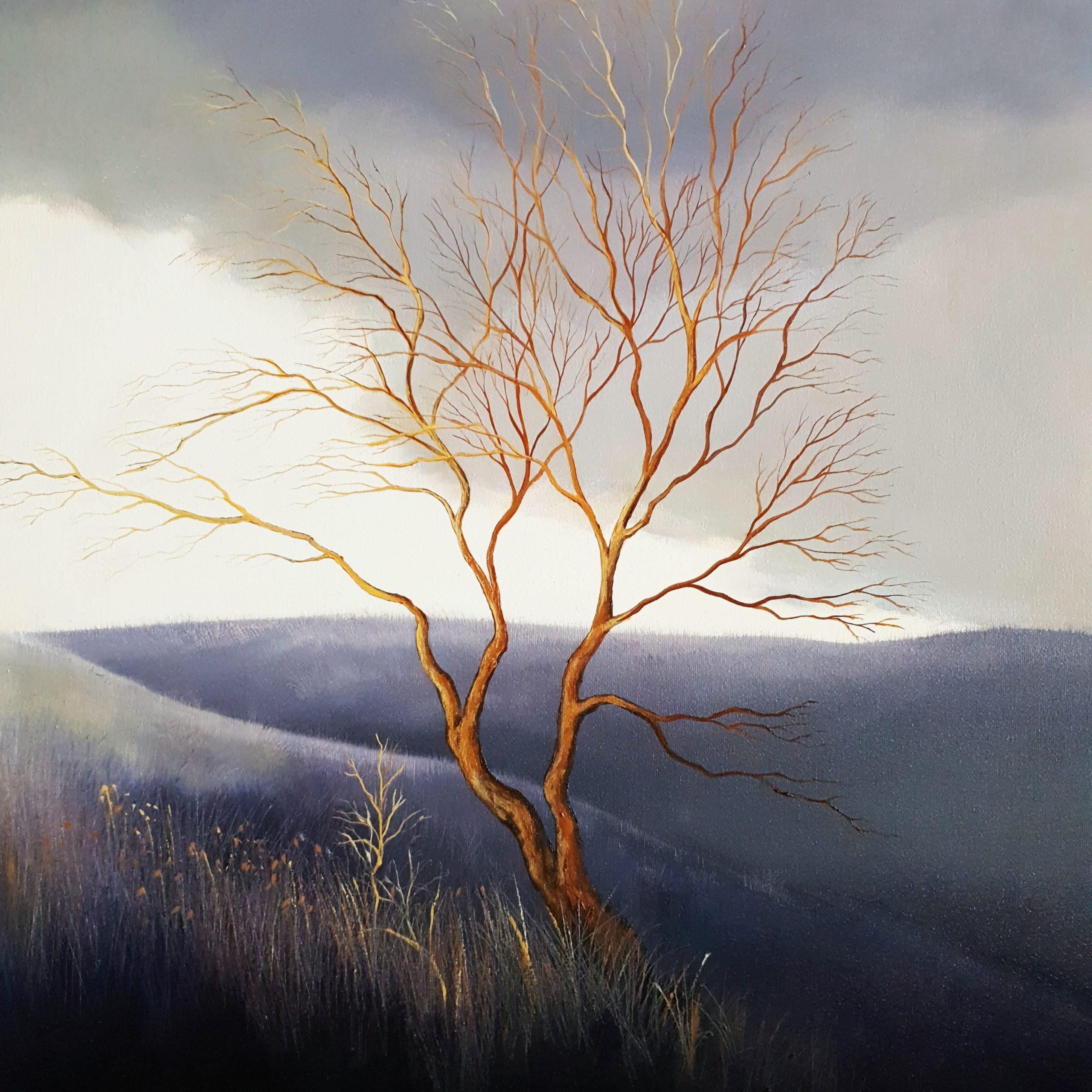 A Beautiful Silence Lucinda Leveille 1