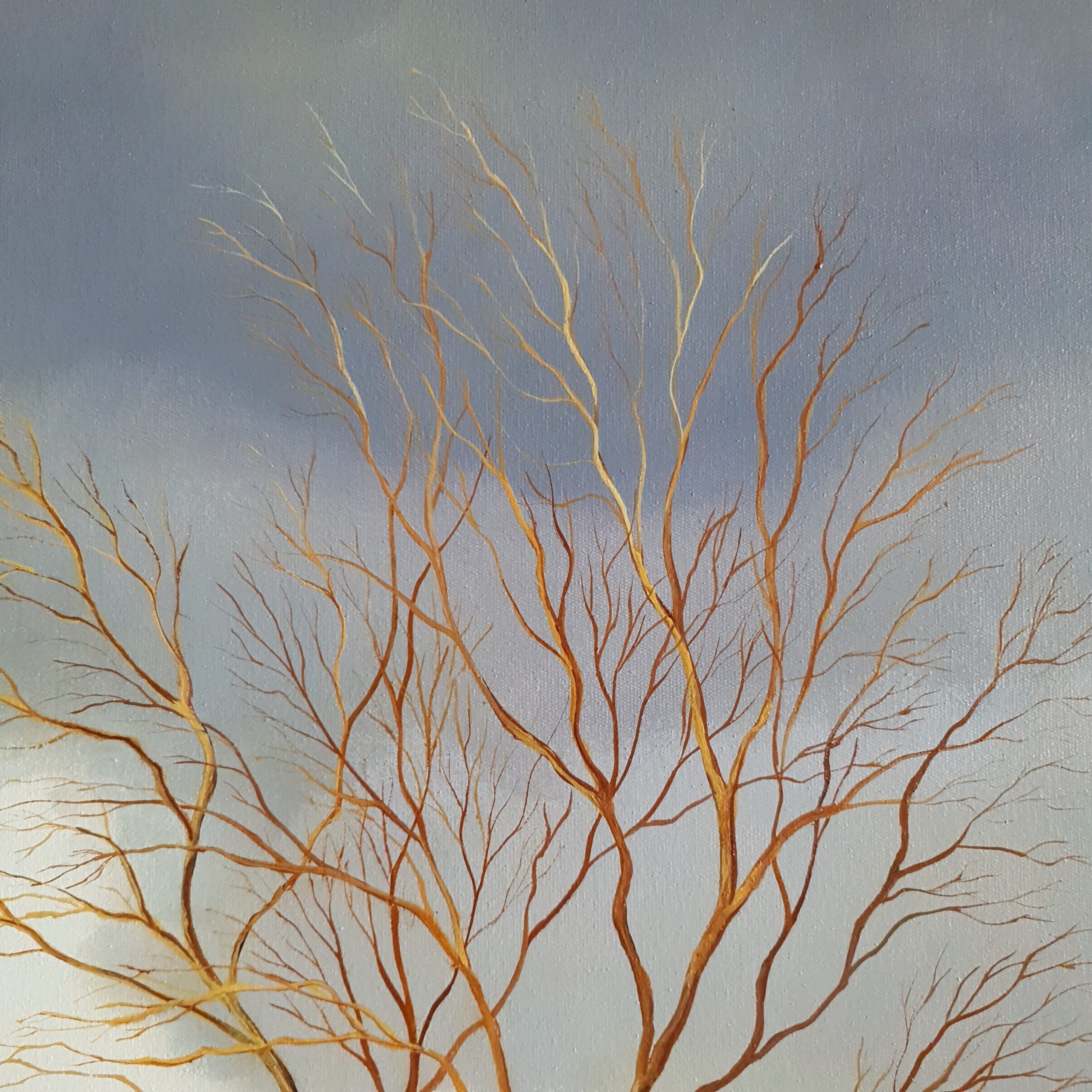 A Beautiful Silence Lucinda Leveille 3