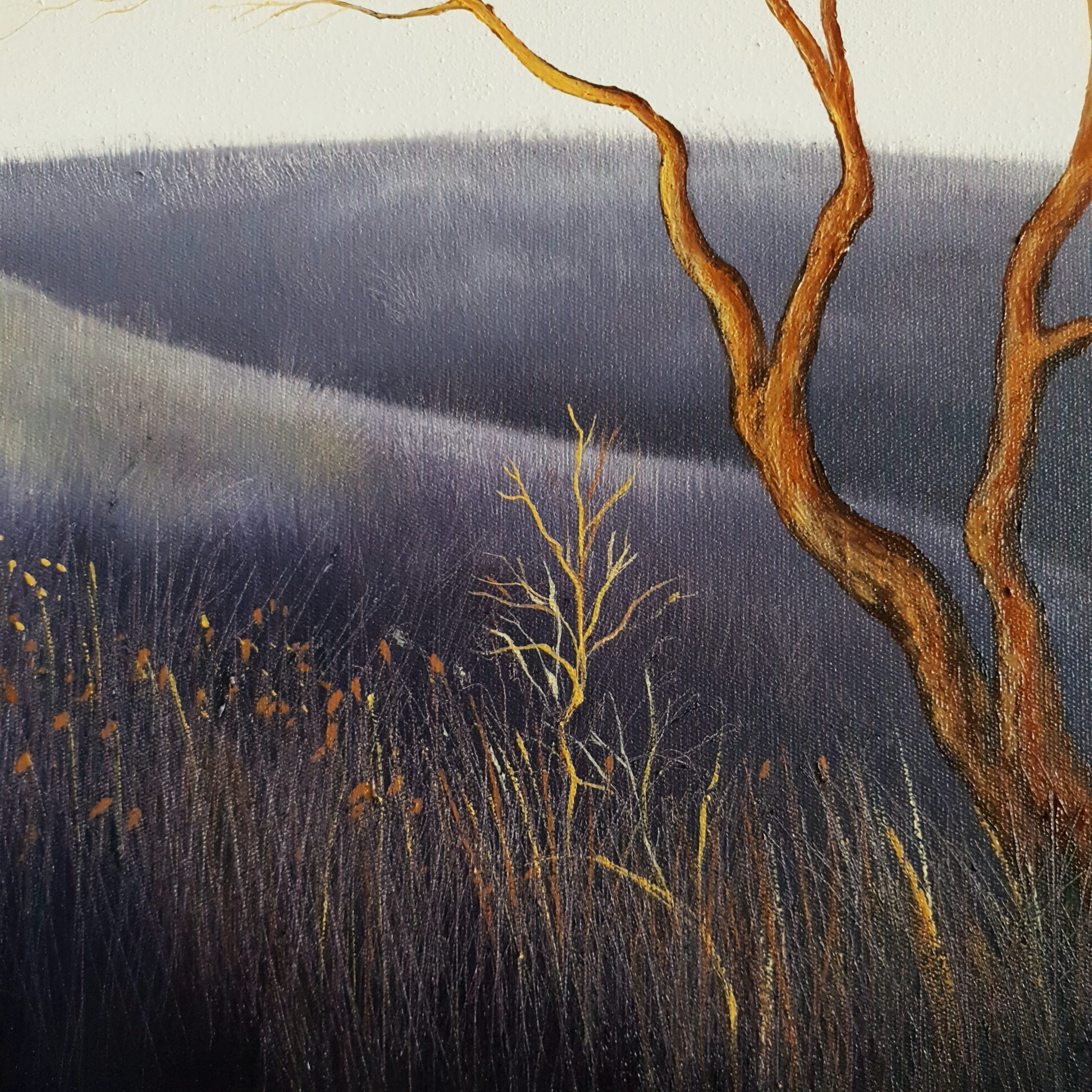 A Beautiful Silence Lucinda Leveille 2