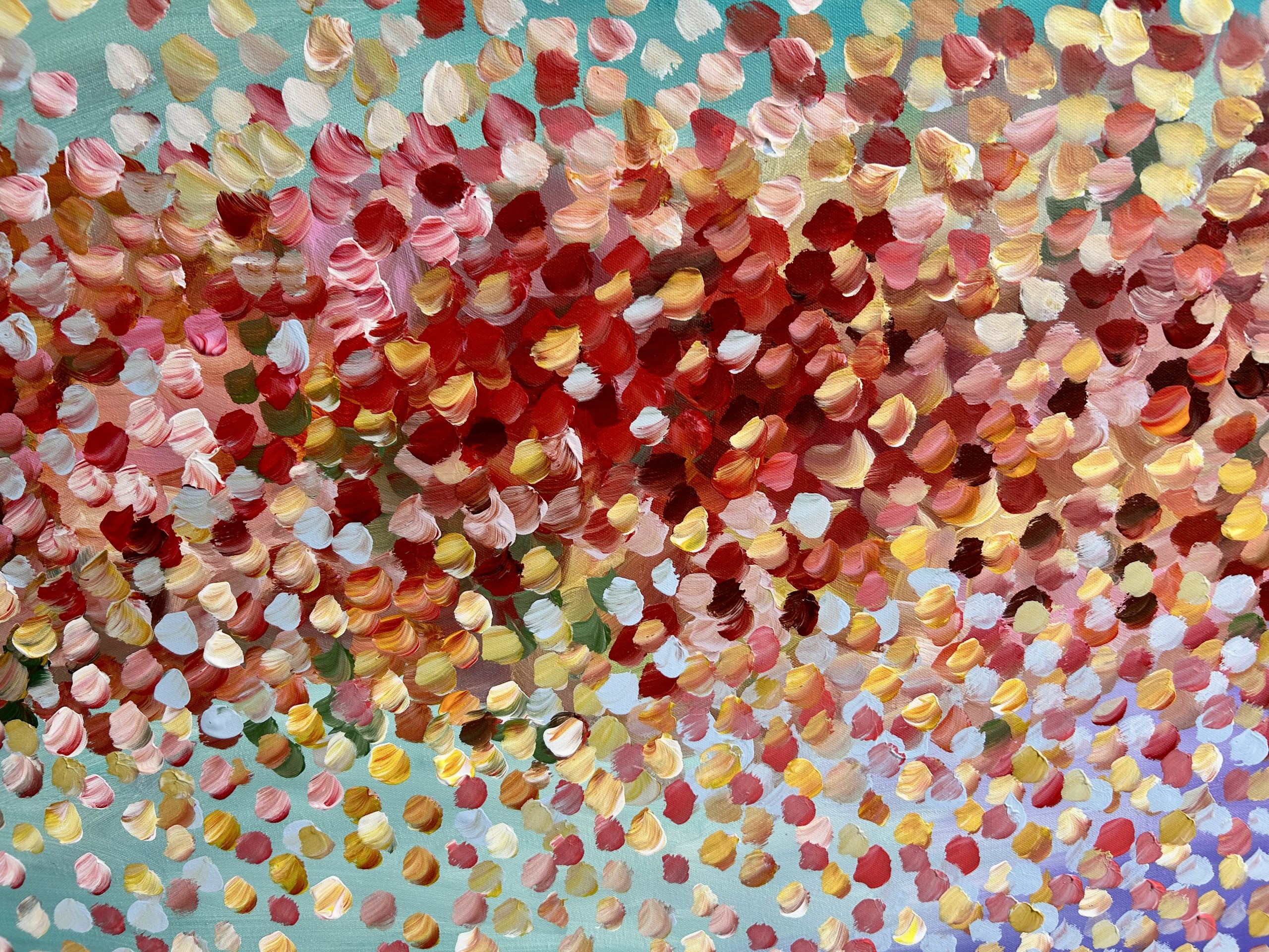 0d253157 D247 4971 8911 2556f1f85d04