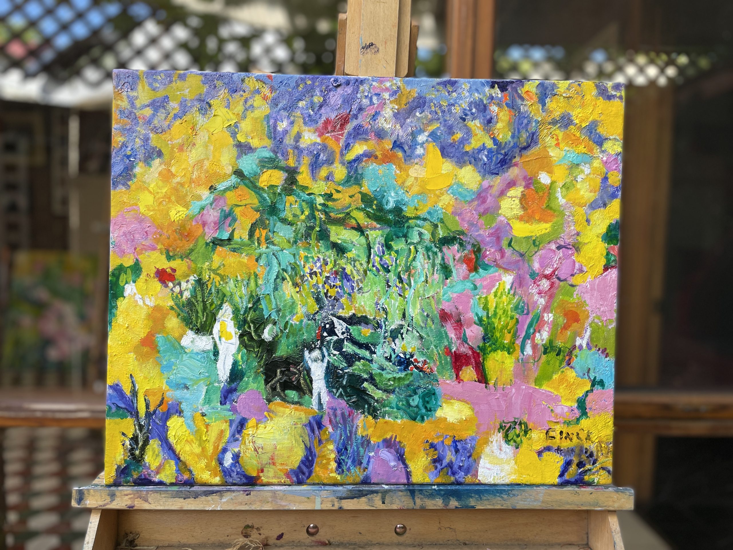 Are The Stars Out Tonight Sudio View