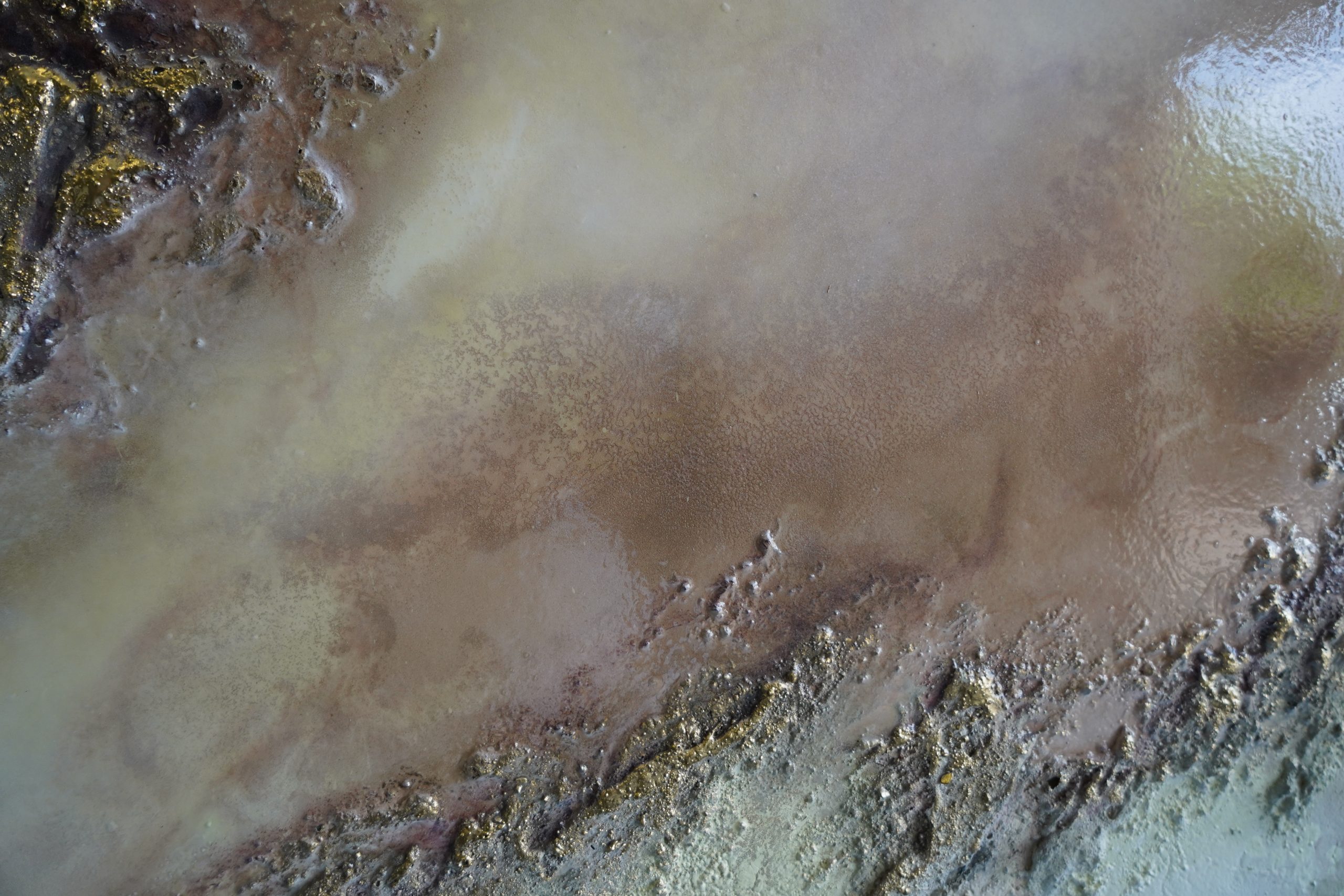 Contemporary Art Petra Meikle De Vlas31