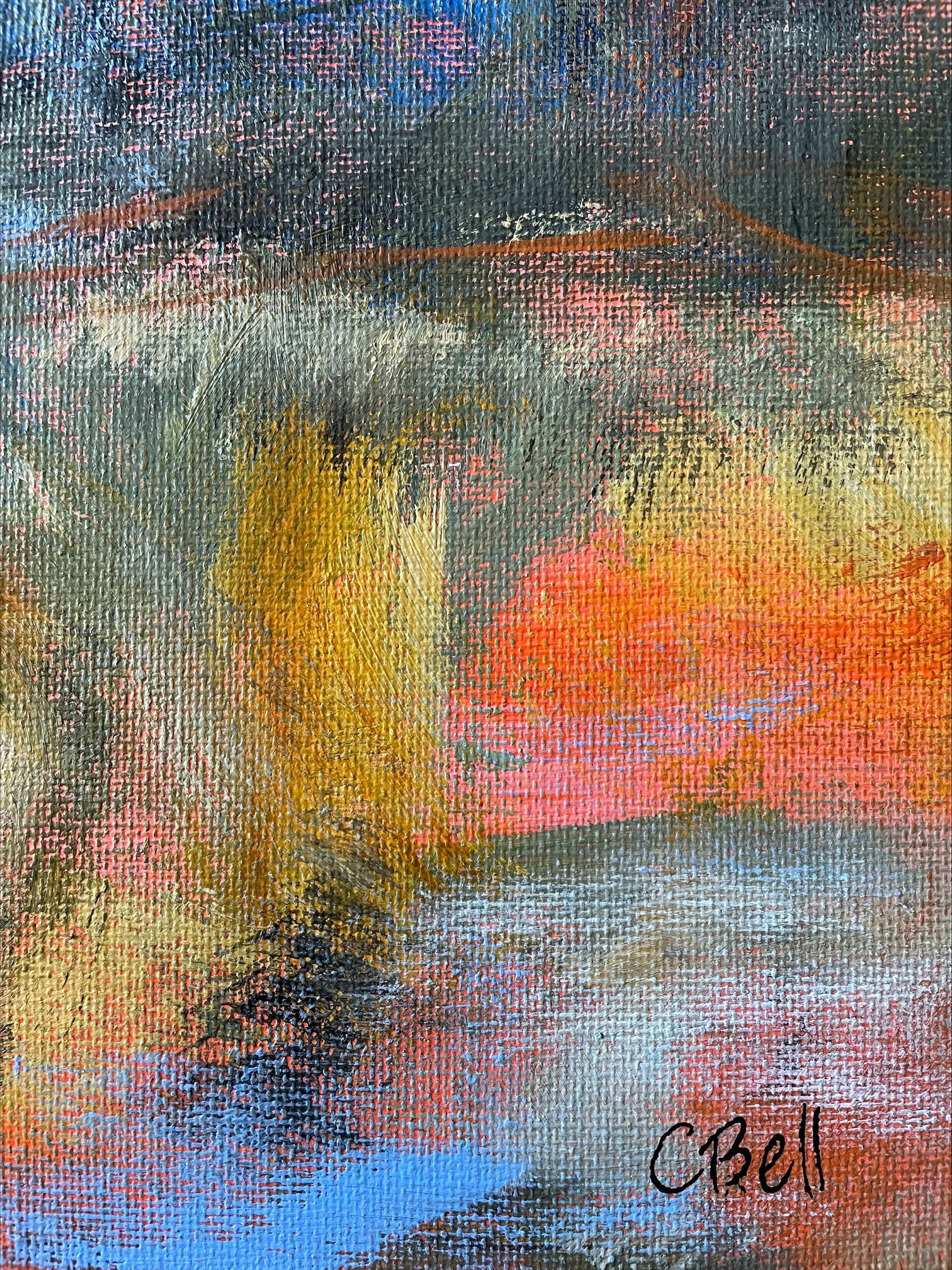 20221211 Liffey Forest Lookout Tasmania Sig