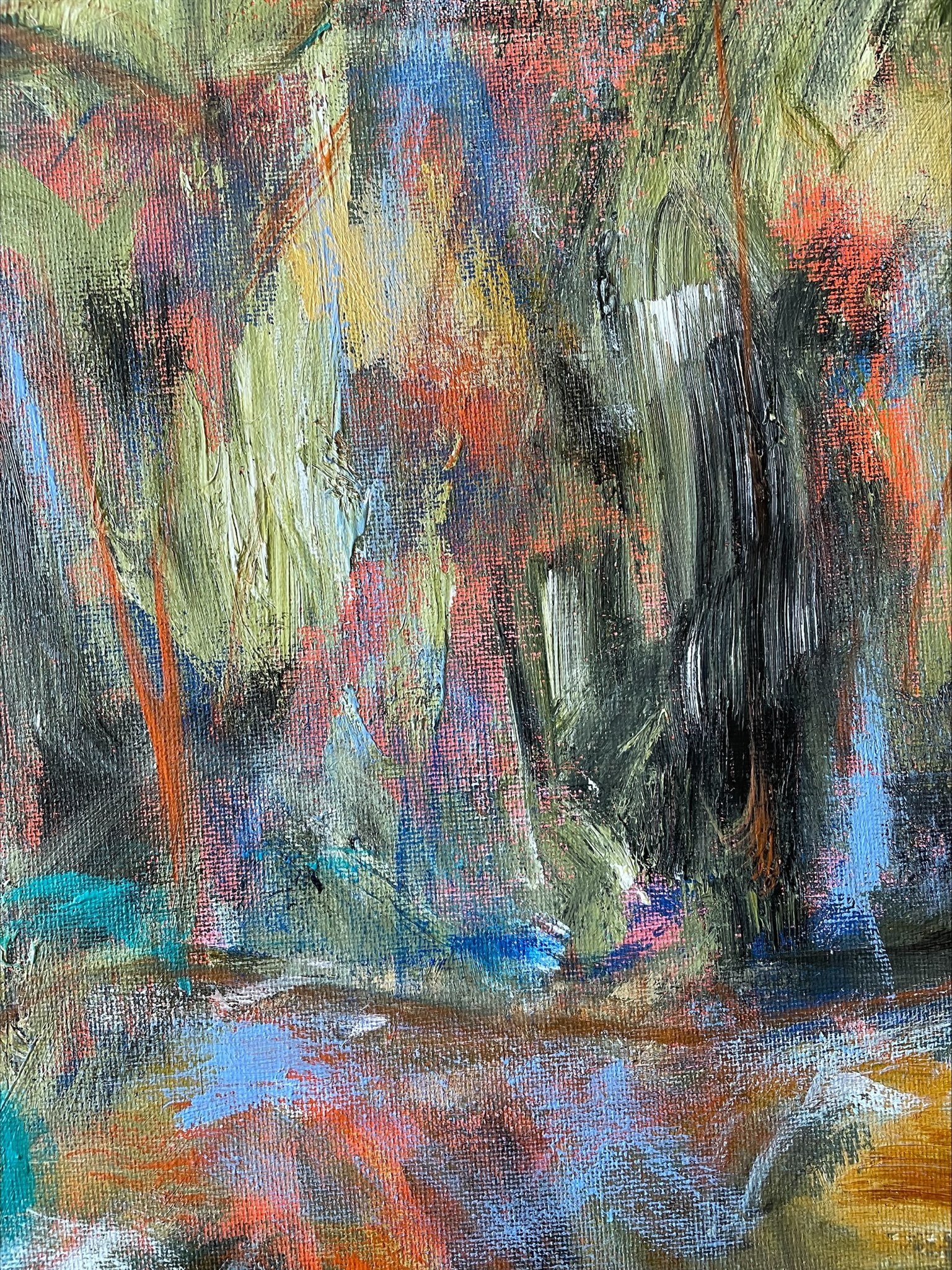 20221211 Liffey Forest Lookout Tasmania Detail